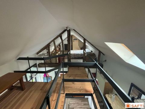 photo no. 13