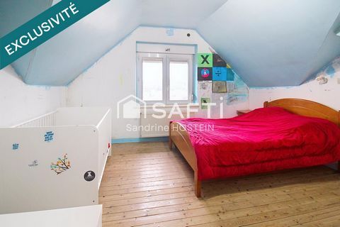 photo no. 8