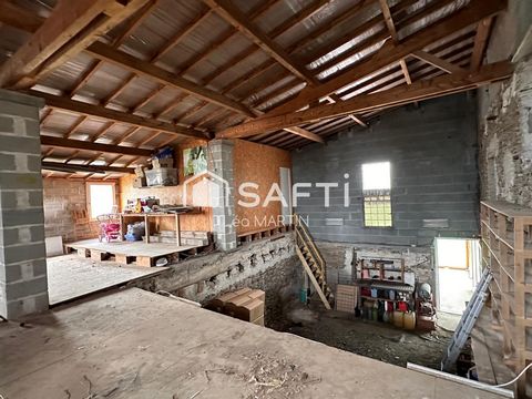 photo no. 13