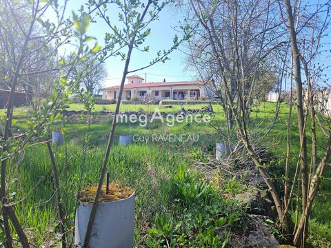 photo no. 13