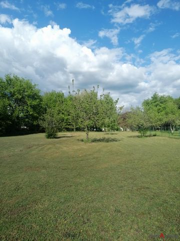 photo no. 3