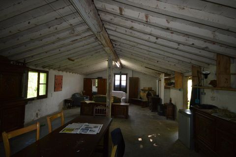 photo no. 12