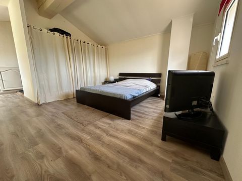 photo no. 15