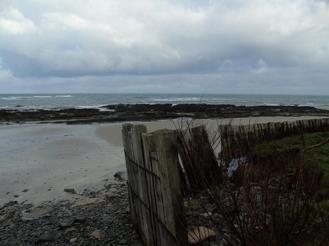 photo no. 9
