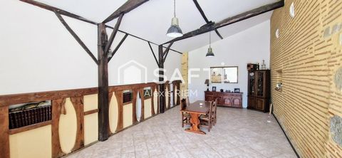 photo no. 12