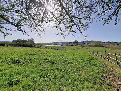 Terreno urbano com 15.867 m2 em Cela, Alcobaça, com viabilidade de construção de várias moradias, e ruína de 336,30 m2 para reconstrução. Este terreno apresenta um grande potencial para construção de várias moradias unifamiliares, quinta, condomínio ...