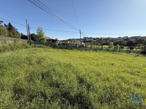 Dois Lotes de Terreno Urbano para Construção - Parada de Cunhos, Vila Real ! Oportunidade única! Dois lotes de terreno urbano, bem localizados, próximos ao centro de Vila Real , (a apenas 1 km) e com excelente acesso à estrada. Estes dois lotes repre...