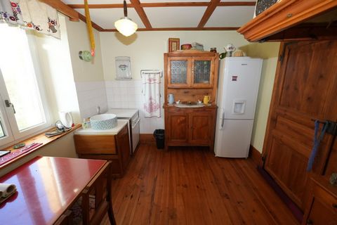 photo no. 12