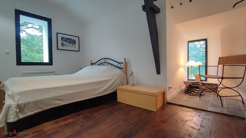 photo no. 16
