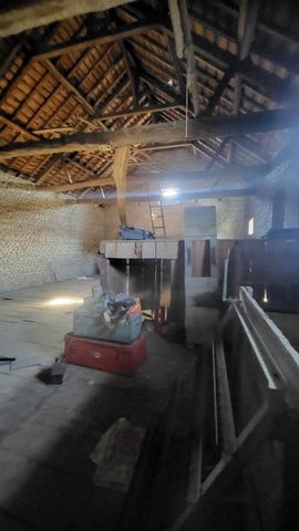 photo no. 2