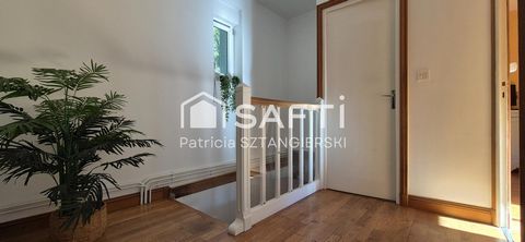 photo no. 12