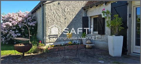photo no. 12