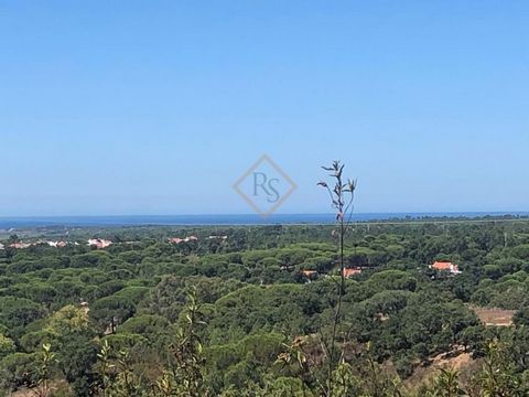 Este excepcional terreno de 6 hectares está perfeitamente situado em Melides, oferecendo vistas deslumbrantes sobre o mar, ambiente natural e um riacho tranquilo que atravessa a propriedade. O terreno inclui uma licença de construção de até 500 metro...