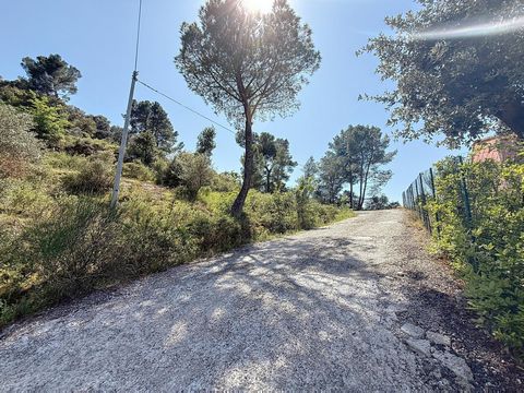 photo no. 3