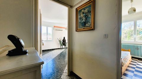 photo no. 13