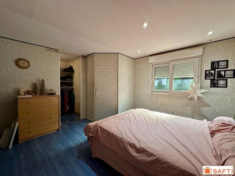 photo no. 11