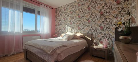 photo no. 11