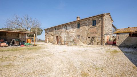 The property 