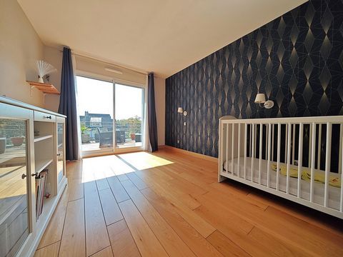 photo no. 12
