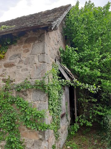 photo no. 2