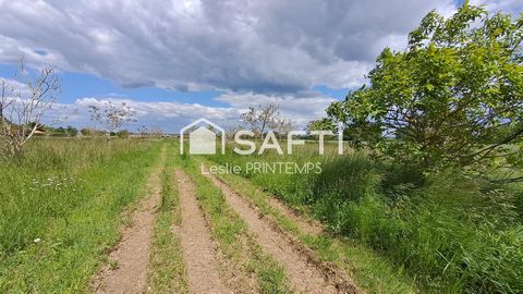 photo no. 2