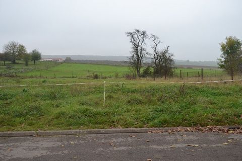 photo no. 1
