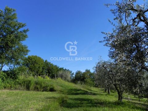 In a quiet hamlet in the upper part of Puegnago del Garda, located in a residential area of new villas with partial lake view, we offer for sale a building plot of 2,780 m2 with a volume for the possible construction of 3 villas of about 150 m2 each....