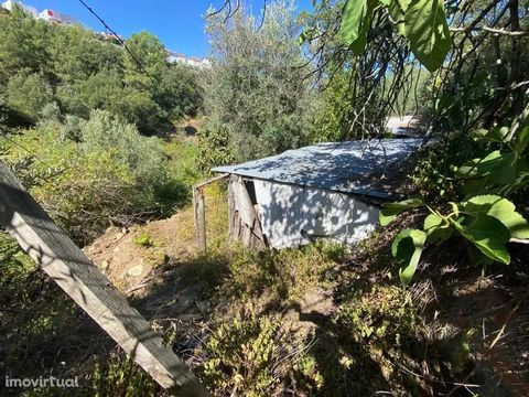 Farm with 2960m2 and fruit trees Several annexes, chicken coop, sheds, storage and lots of water - Brook and Well. Spacious accesses, on dirt. Great views. * Farm with 2960m2 and fruit trees Several annexes, chicken coop, sheds, storage and lots of w...