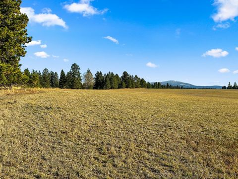 160- acre productive farm and ranch in Lewis County, ID with approximately 100 acres of tillable ground and 60 acres of timbered pasture ground. This unique property offers a blend of agricultural productivity, natural beauty, and recreational possib...