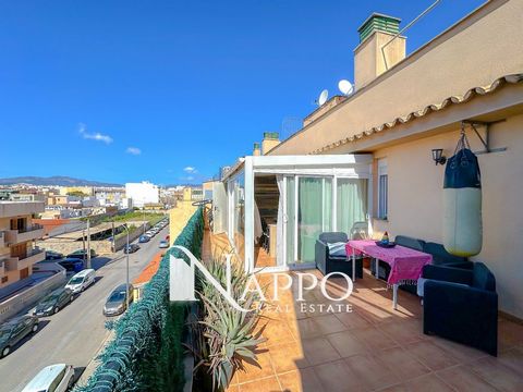 Nappo offers for sale this charming penthouse located on the third floor with elevator in a quiet building with 10 neighbors of 2003, located in the well-served neighborhood of Rafal Nou, in an interesting location, close to all major services such a...