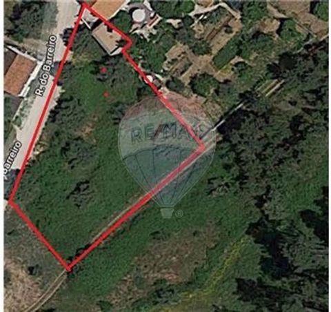 Land well located in the parish of Pelariga, fit for construction (30%) according to the PDM with an area of 150m2.
