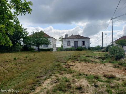 Beautiful farm, consisting of two houses for recovery with land, fruit trees and well. The properties have good areas and an excellent composition, and are distributed over four bedrooms, a bathroom, a living room and a dining room and ground floor f...
