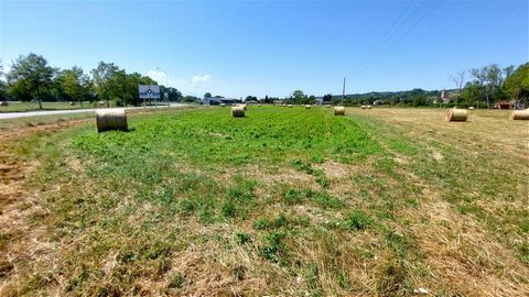 COMMERCIAL LAND Between SAINT GAUDENS and MONTRÉJEAU Beautiful flat land of 7,900 m², buildable for shops, services and offices. This land is located a few meters from the RD 817 and in the middle of two exits from the A64 (Toulouse – Bayonne). Easy ...
