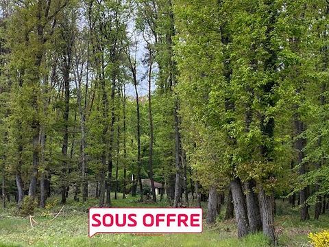 AMILLY 45200 - Maltaverne sector, located 5 minutes from the shops and 10 minutes from the MONTARGIS train station, Karine MAMANE offers you in the heart of a wooded park of 9230 m2, a charming chalet of about 50 m2, comprising: living room with fire...