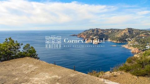 Cornex Capital presenteert dit spectaculaire stuk grond van 6,2 hectare in het hart van Kaap Begur, aan de kust. Het land is gelegen op de top van een klif, een uitzonderlijke plek aan de Costa Brava met een fantastisch uitzicht op de zee. Omdat het ...