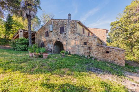 In the village of Canonica, nestled between old, stately renovated villas and surrounded by the wonderful countryside between Siena and Florence, you will find a very special gem: a 300-year-old rustico that is for sale and just waiting to be lovingl...