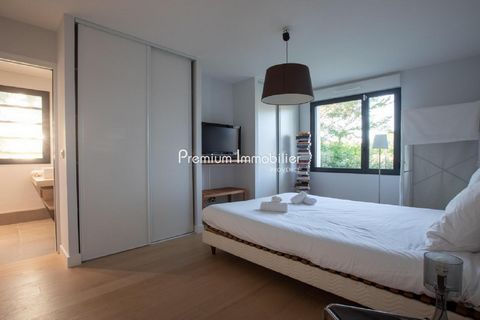 photo no. 11