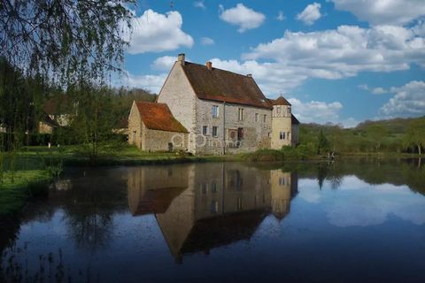 Exceptional property 30 minutes from Beaune and 3 hours from Paris. This elegant old residence of the seventeenth century, steeped in history, with paved courtyard benefits from a natural and exceptional environment with a private pond and a vast par...