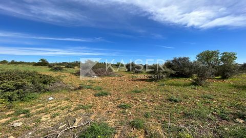 Fantastique ensemble de 3 parcelles adjacentes, dont une est disponible pour le développement avec une superficie de construction autorisée de 1 444,62 m², idéalement situées à distance de marche des commodités telles qu'un restaurant, un supermarché...