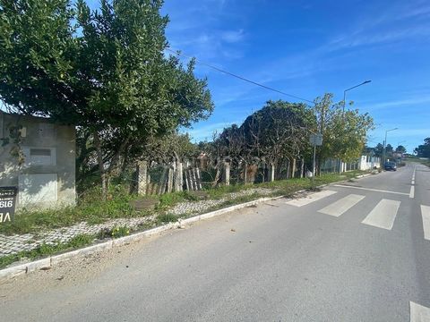 Terrain pour construction de maison situé à Quinta da Bela Vista, a une superficie totale de 344m2. Avec la possibilité de construire une maison individuelle, avec un ou 2 étages + sous-sol (pour le stationnement) ou avec un garage au niveau de la ro...