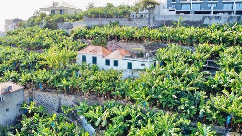 Laissez-vous immerger par les charmes de Câmara de Lobos et venez découvrir cette fantastique villa traditionnelle de 3 chambres à Madère, située sur un terrain de 3 287 m2. La villa a besoin d’une rénovation complète, composée de 3 chambres, 3 salon...