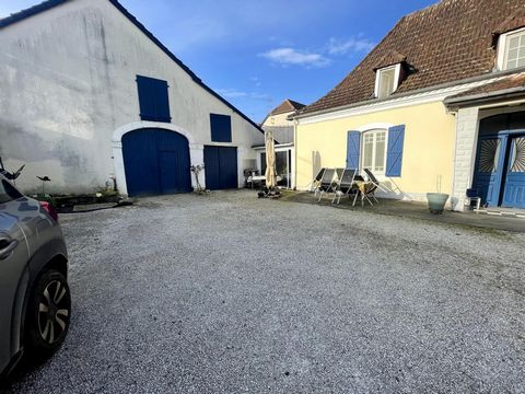 photo no. 11