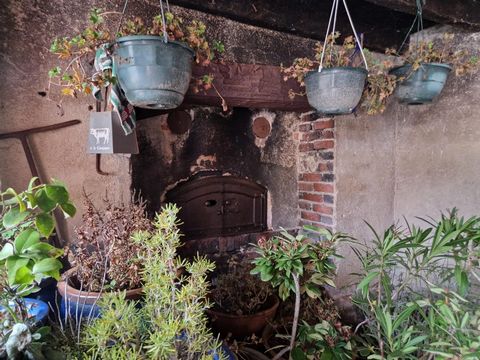 photo no. 10