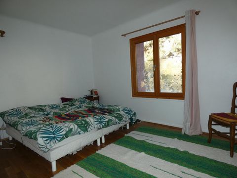 photo no. 5
