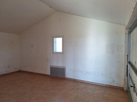 photo no. 9