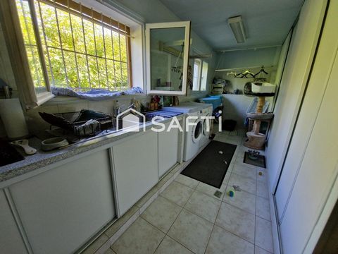 photo no. 15