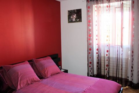 photo no. 11