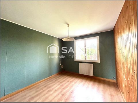 photo no. 11