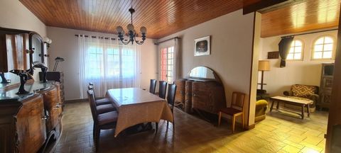 photo no. 6