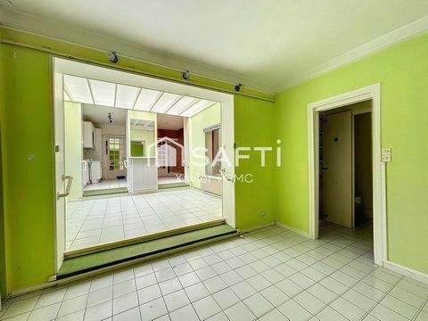 photo no. 8